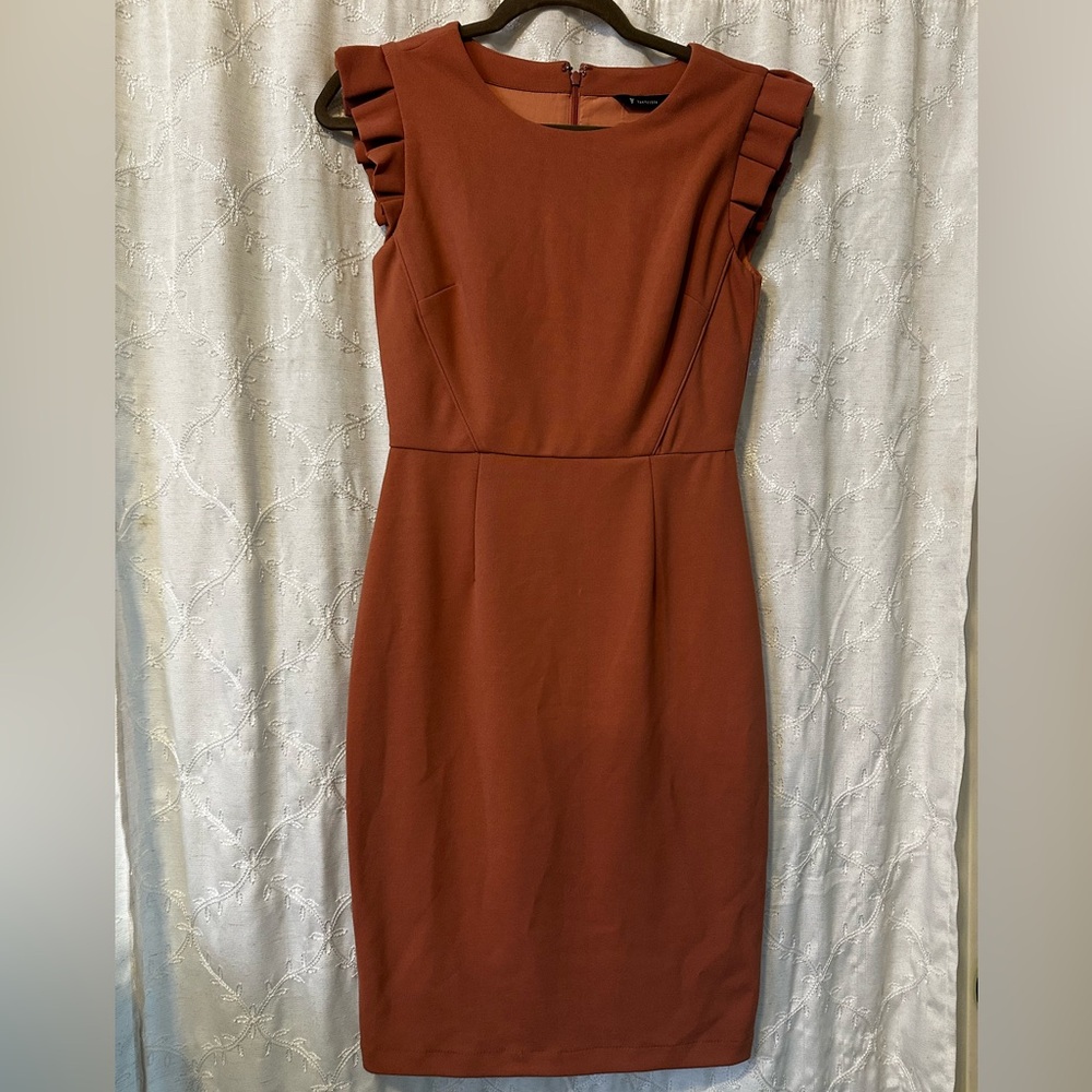 Work Dress with Ruffle Sleeves